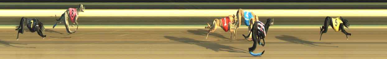 Photo finish for Warragul Race 4