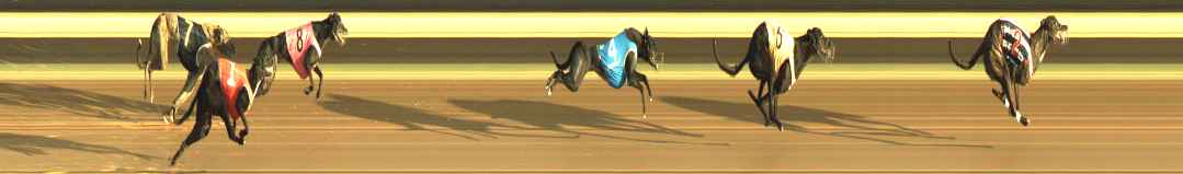 Photo finish for Warragul Race 5