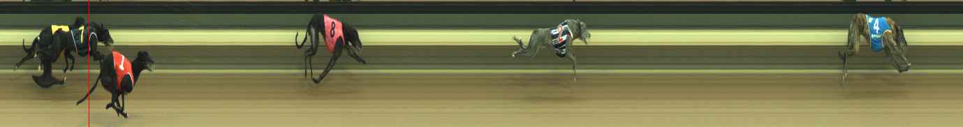 Photo finish for Warragul Race 7