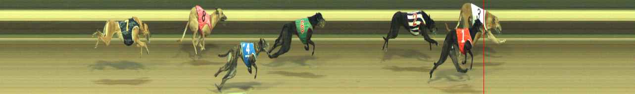 Photo finish for Warragul Race 8
