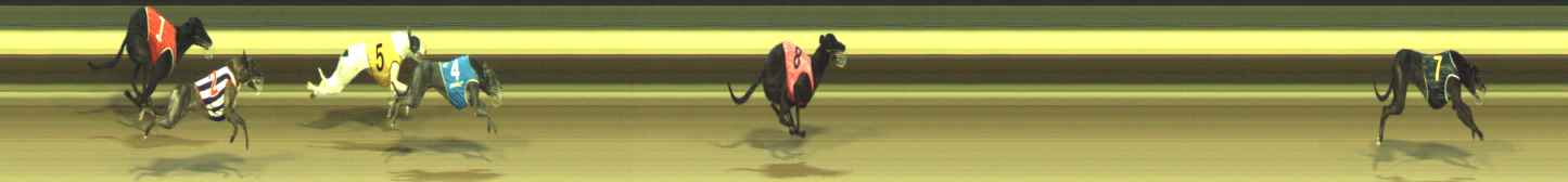 Photo finish for Warragul Race 9