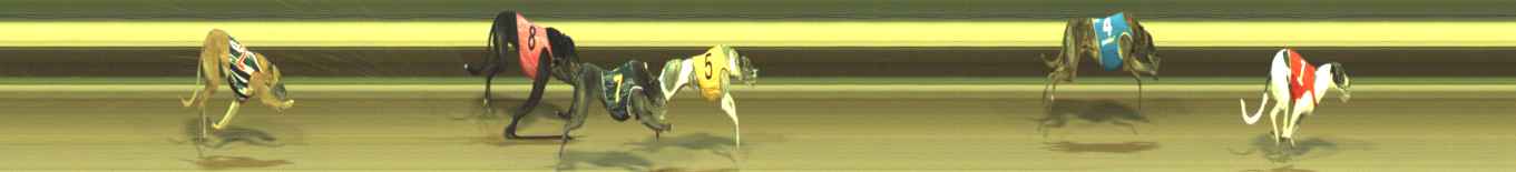 Photo finish for Warragul Race 10