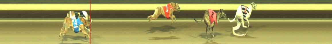 Photo finish for Warragul Race 11