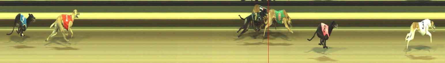 Photo finish for Warragul Race 12