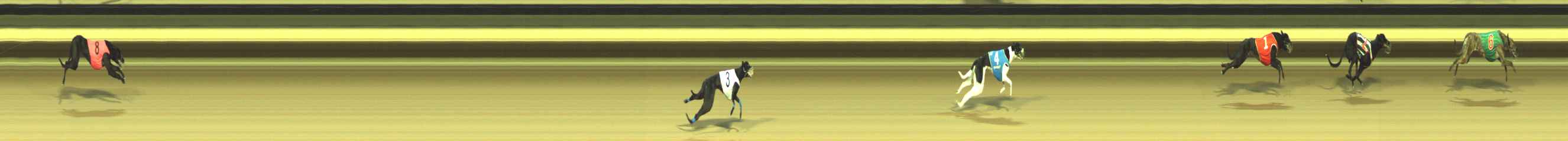 Photo finish for Warragul Race 1