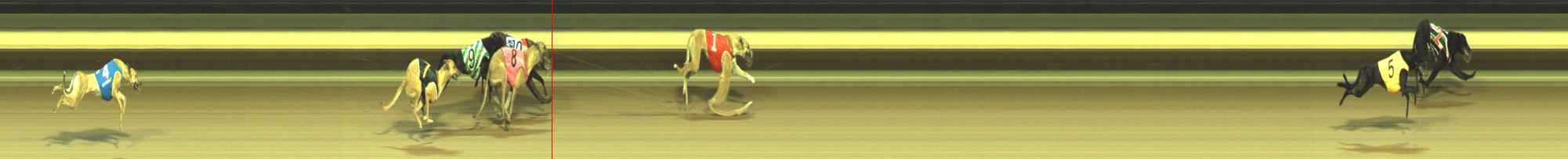 Photo finish for Warragul Race 2