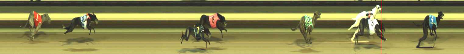 Photo finish for Warragul Race 3
