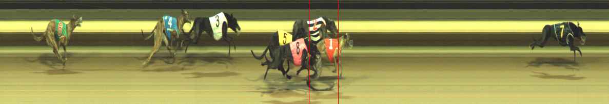 Photo finish for Warragul Race 4
