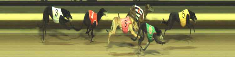 Photo finish for Warragul Race 5