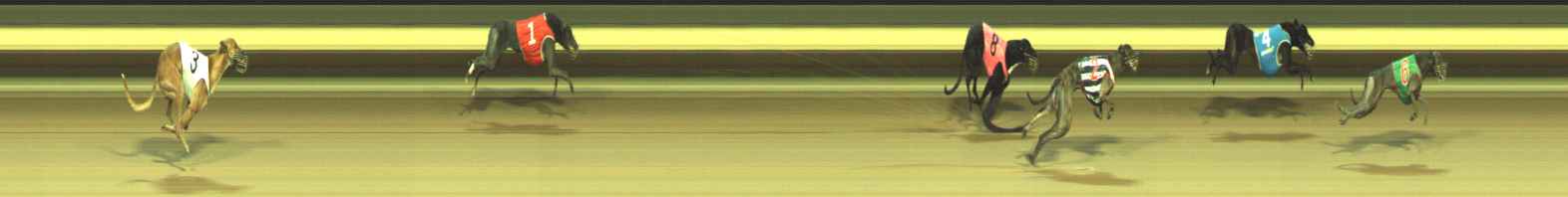 Photo finish for Warragul Race 7