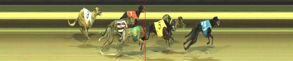 Photo finish for Warragul Race 8