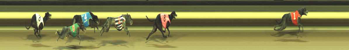 Photo finish for Warragul Race 9