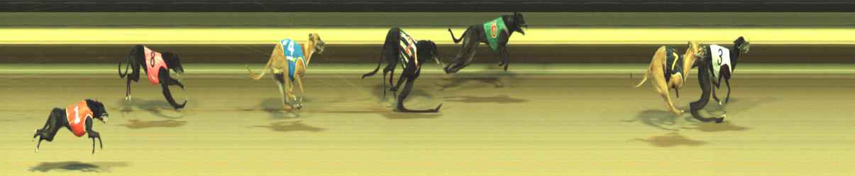 Photo finish for Warragul Race 10