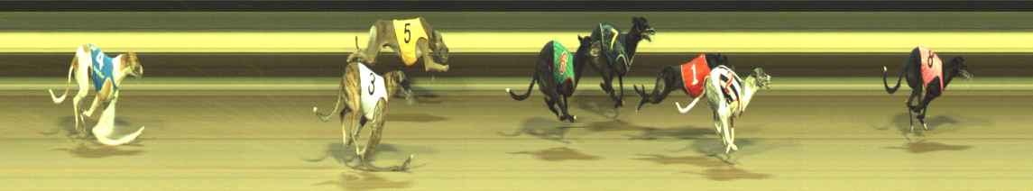 Photo finish for Warragul Race 11