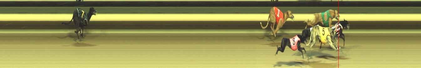 Photo finish for Warragul Race 12