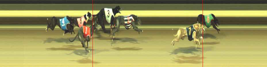 Photo finish for Warragul Race 10