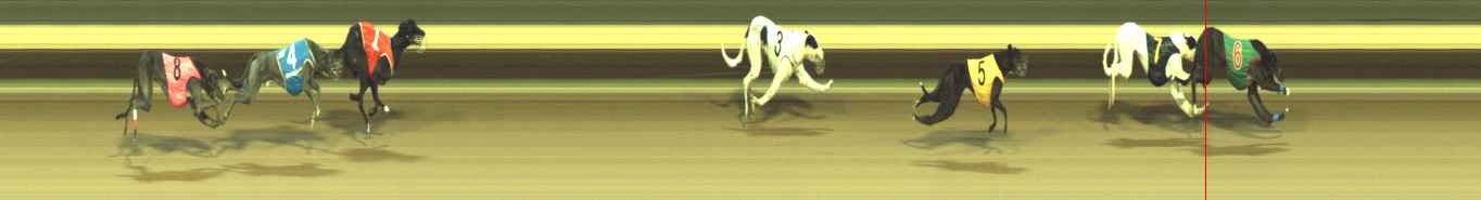 Photo finish for Warragul Race 11