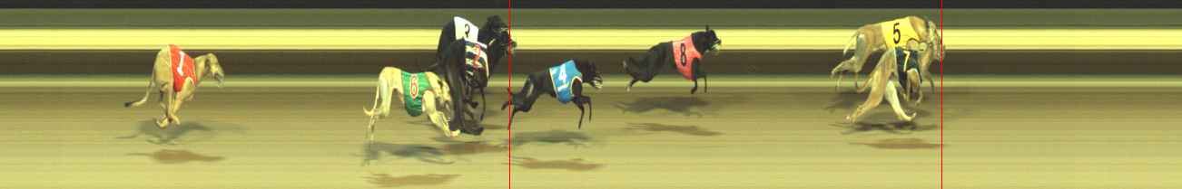 Photo finish for Warragul Race 12