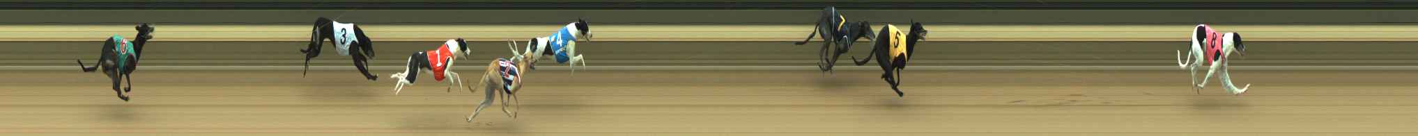 Photo finish for Warragul Race 2
