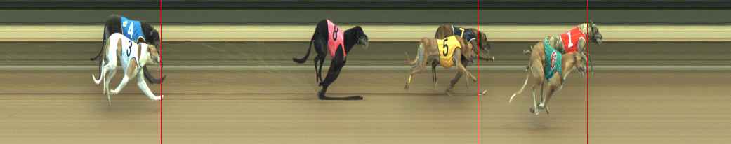 Photo finish for Warragul Race 5