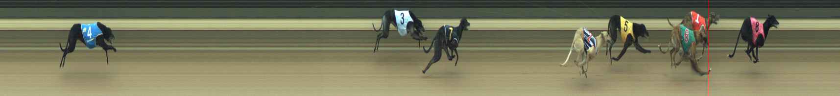 Photo finish for Warragul Race 6