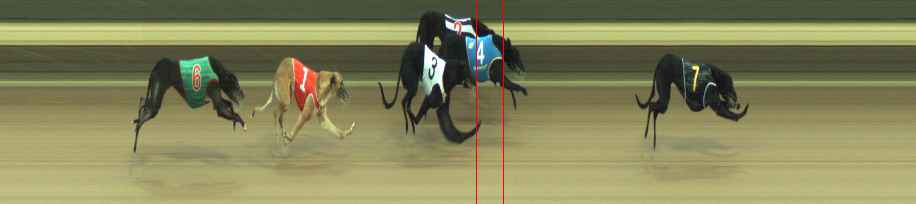Photo finish for Warragul Race 7
