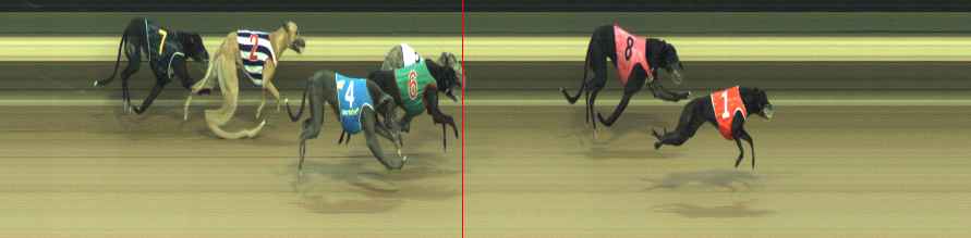 Photo finish for Warragul Race 8