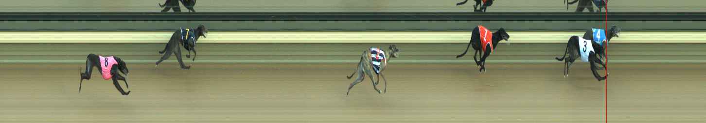Photo finish for Warragul Race 1