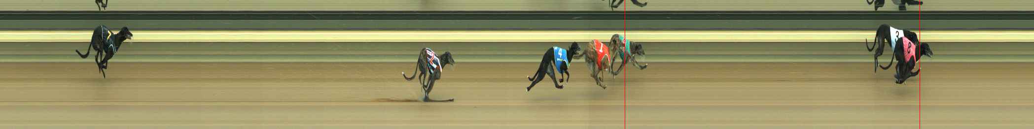 Photo finish for Warragul Race 2