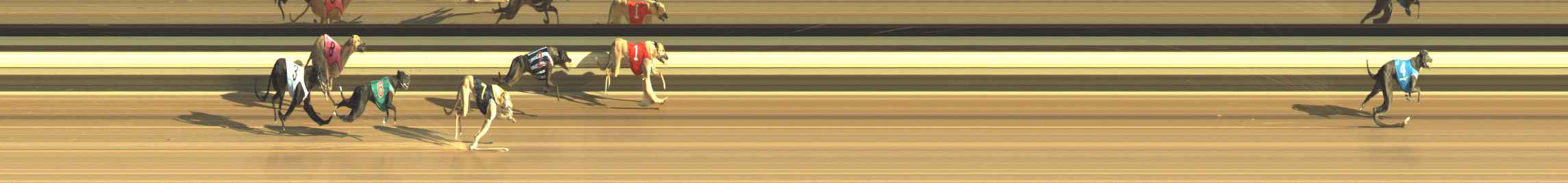 Photo finish for Warragul Race 3
