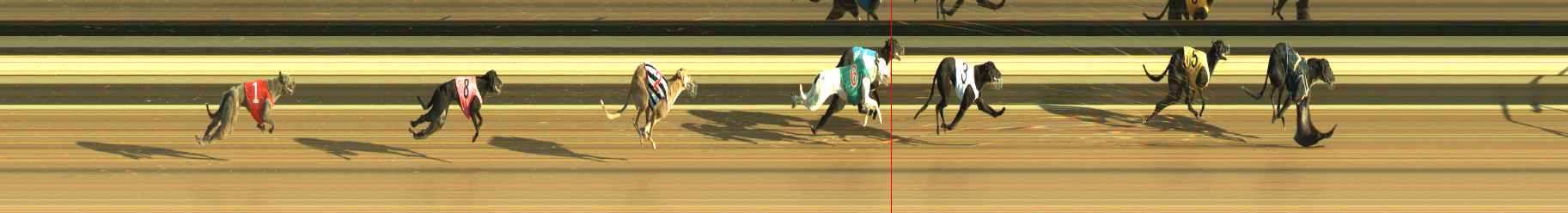 Photo finish for Warragul Race 4