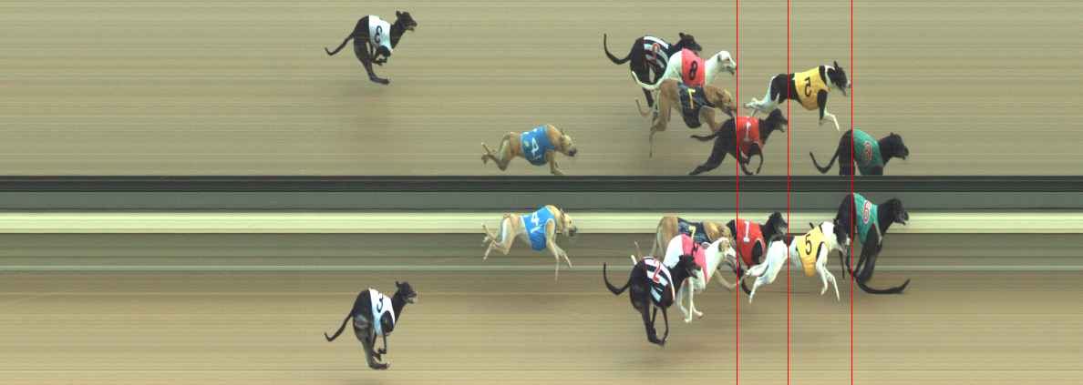 Photo finish for Warragul Race 6