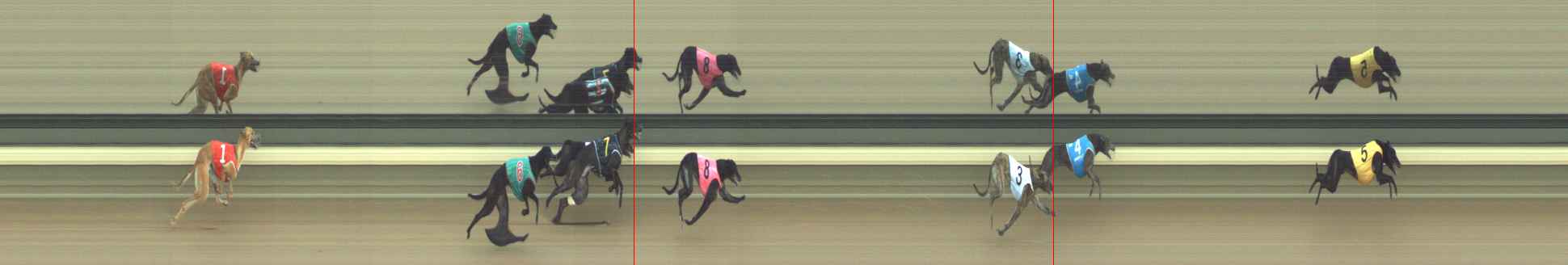 Photo finish for Warragul Race 7