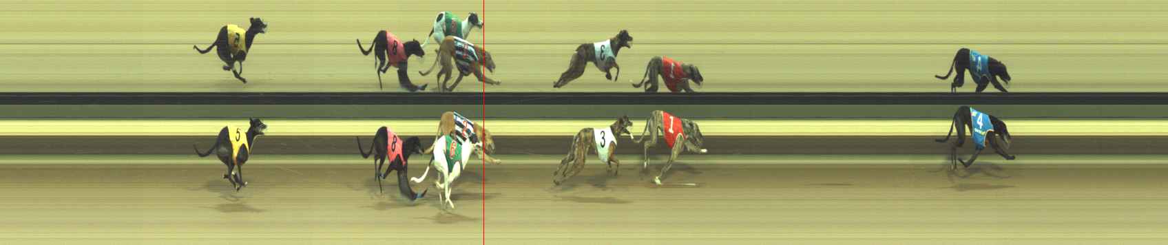 Photo finish for Warragul Race 8