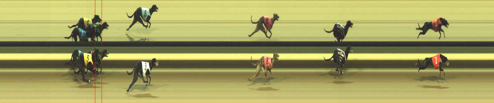 Photo finish for Warragul Race 9