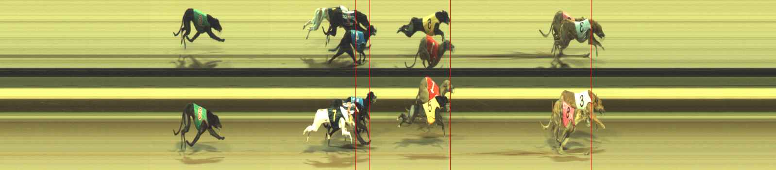 Photo finish for Warragul Race 11