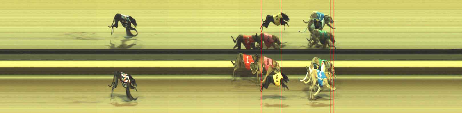 Photo finish for Warragul Race 12