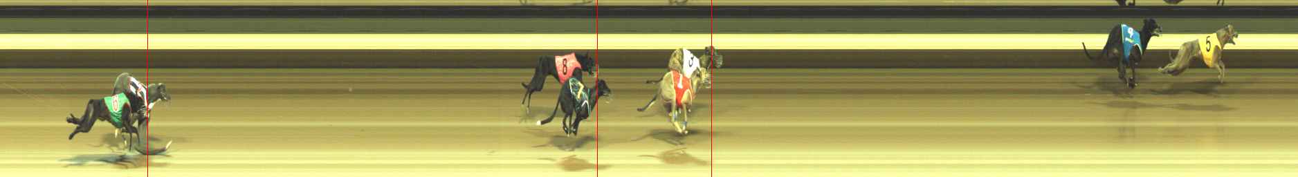 Photo finish for Warragul Race 1
