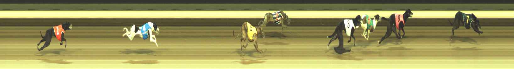 Photo finish for Warragul Race 2