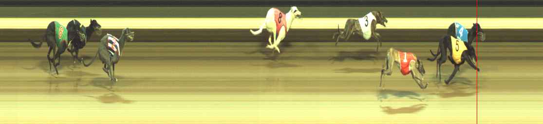 Photo finish for Warragul Race 3