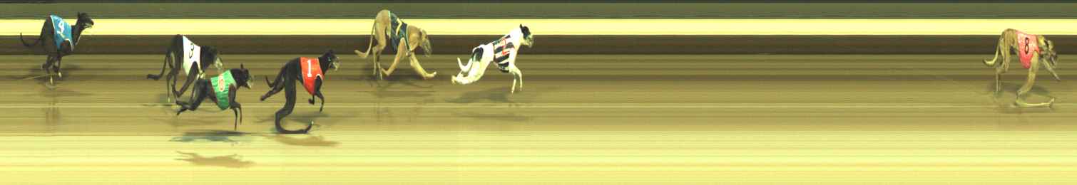 Photo finish for Warragul Race 5
