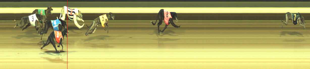 Photo finish for Warragul Race 6