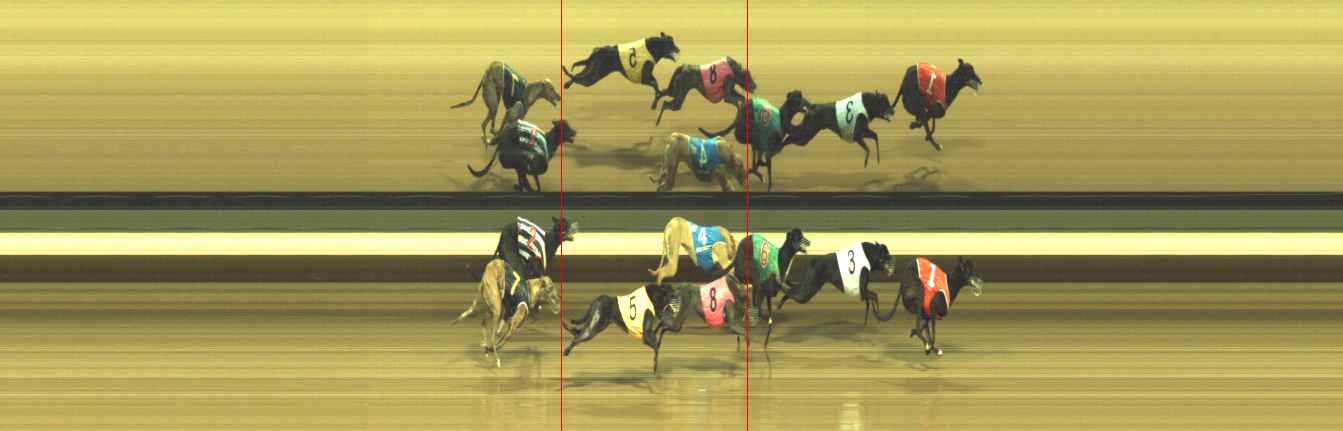 Photo finish for Warragul Race 8