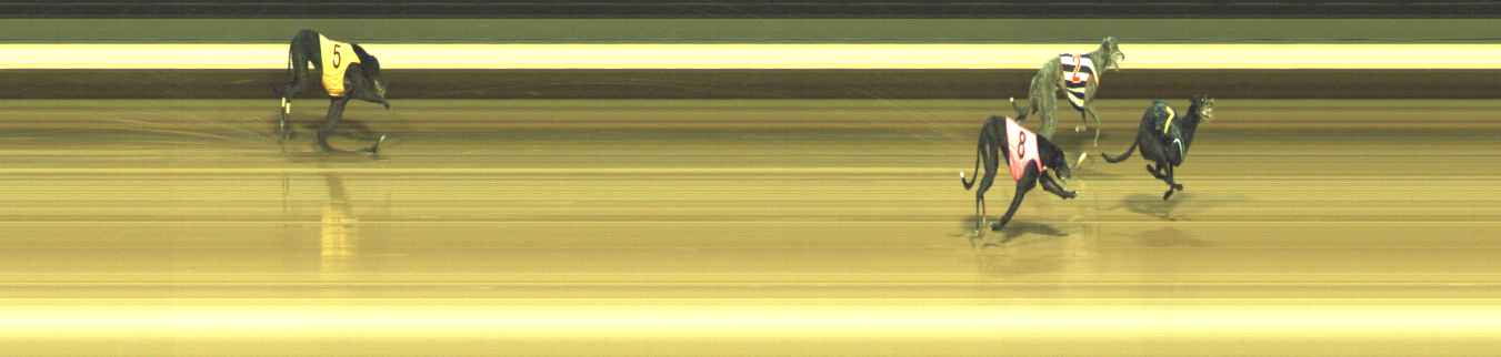 Photo finish for Warragul Race 9