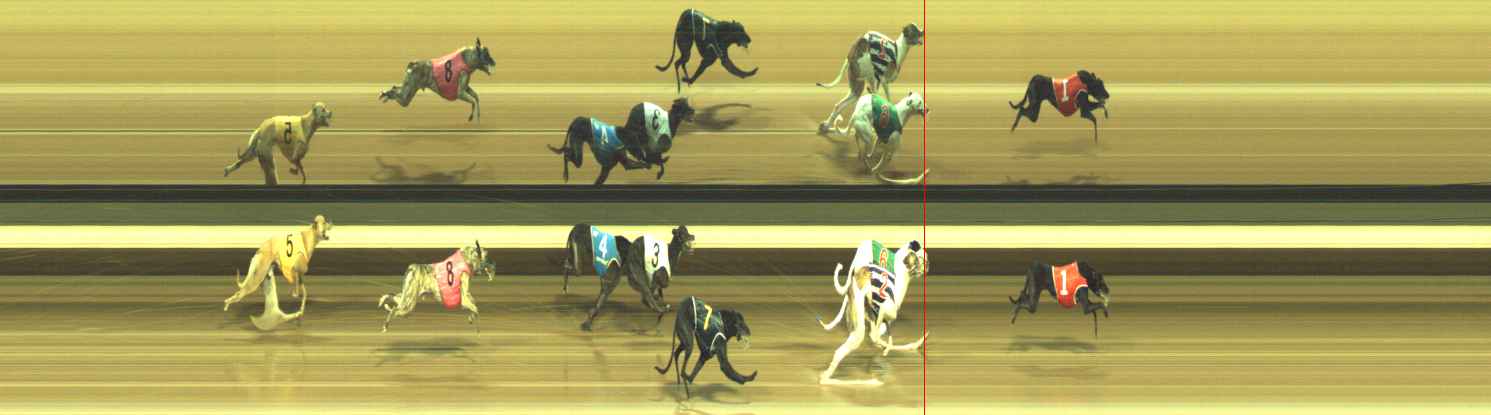 Photo finish for Warragul Race 10