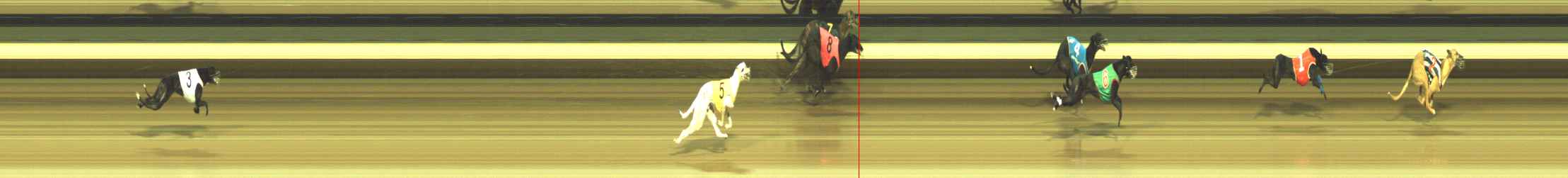 Photo finish for Warragul Race 11