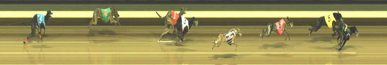 Photo finish for Warragul Race 12