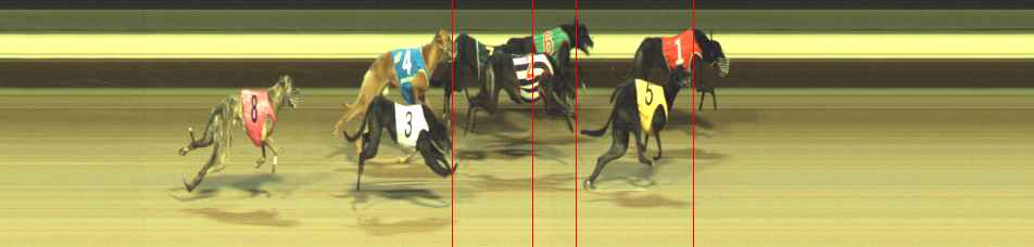 Photo finish for Warragul Race 12