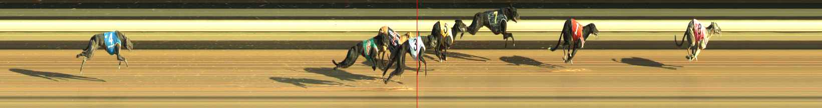 Photo finish for Warragul Race 5