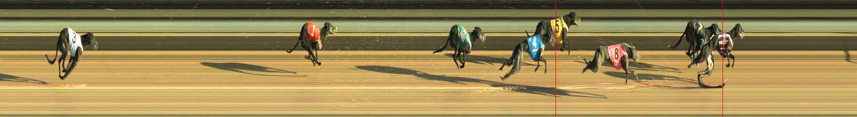 Photo finish for Warragul Race 6